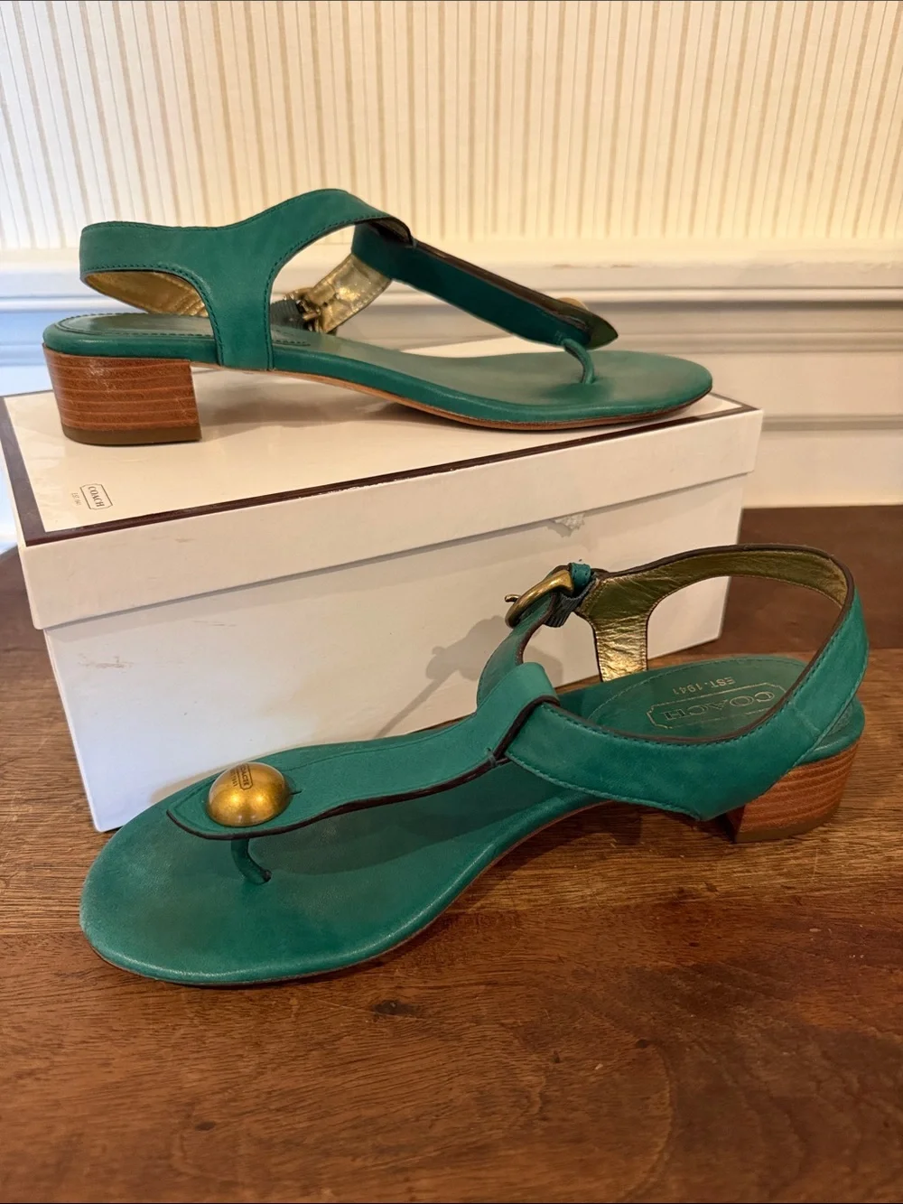 Coach Teal Leather Thong Sandals with Gold Accent and Low Stacked Heel